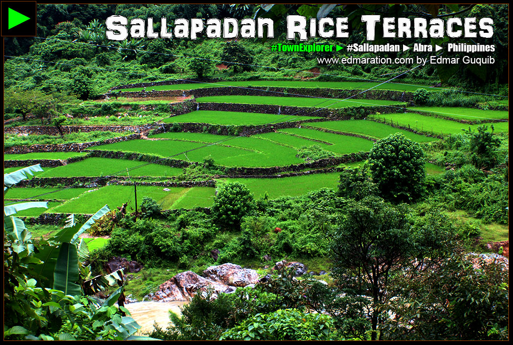 Sallapadan Rice Terraces